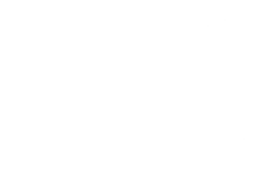Official Selection - Dominican Film Festival in New York 2021