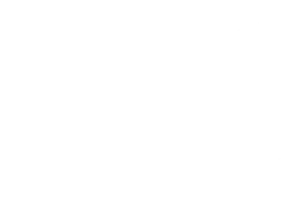 Beeton Film Festival