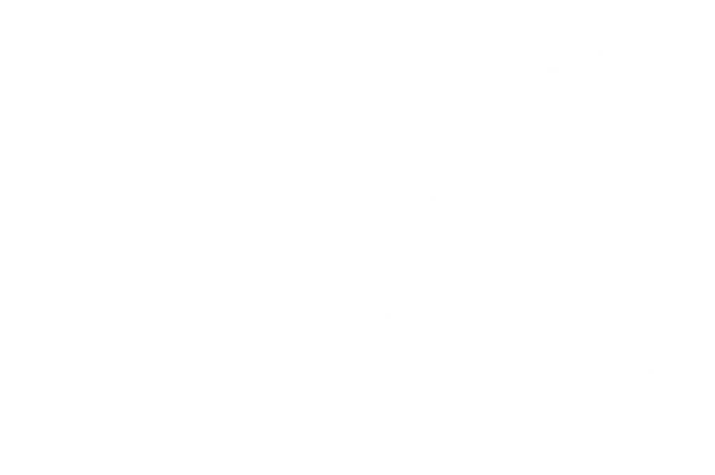 Official Selection - New York Istanbul Short Film Festival 2022