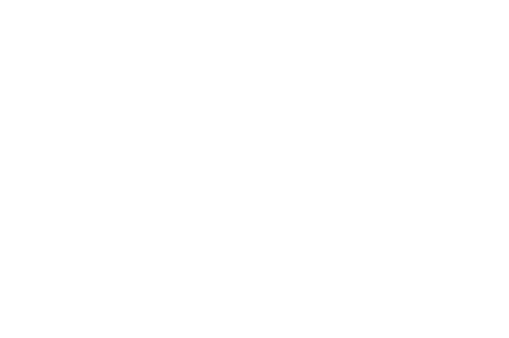 Official Selection - Rocky Mountain International Film Festival 2022